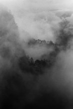 Landscape Portrait
