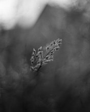 Atmospheric Detail