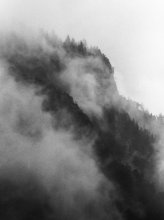 Landscape Portrait