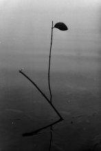 Atmospheric Detail