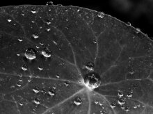 Atmospheric Detail