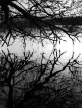 Reflections