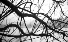 Abstract Portrait