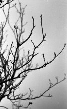 Atmospheric Detail