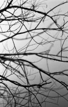 Abstract Photographie