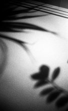 Abstract Photographie