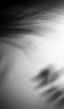 Abstract Photographie