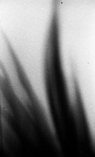 Abstract Photographie