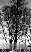 Abstract Photographie