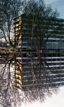 Reflections