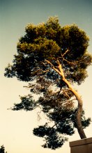 Atmospheric Detail