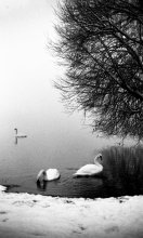 Atmospheric Detail