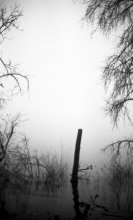 Atmospheric Detail