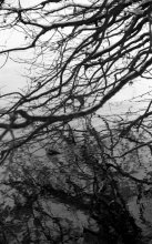 Abstract Photographie