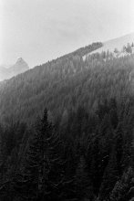 Landscape Portrait