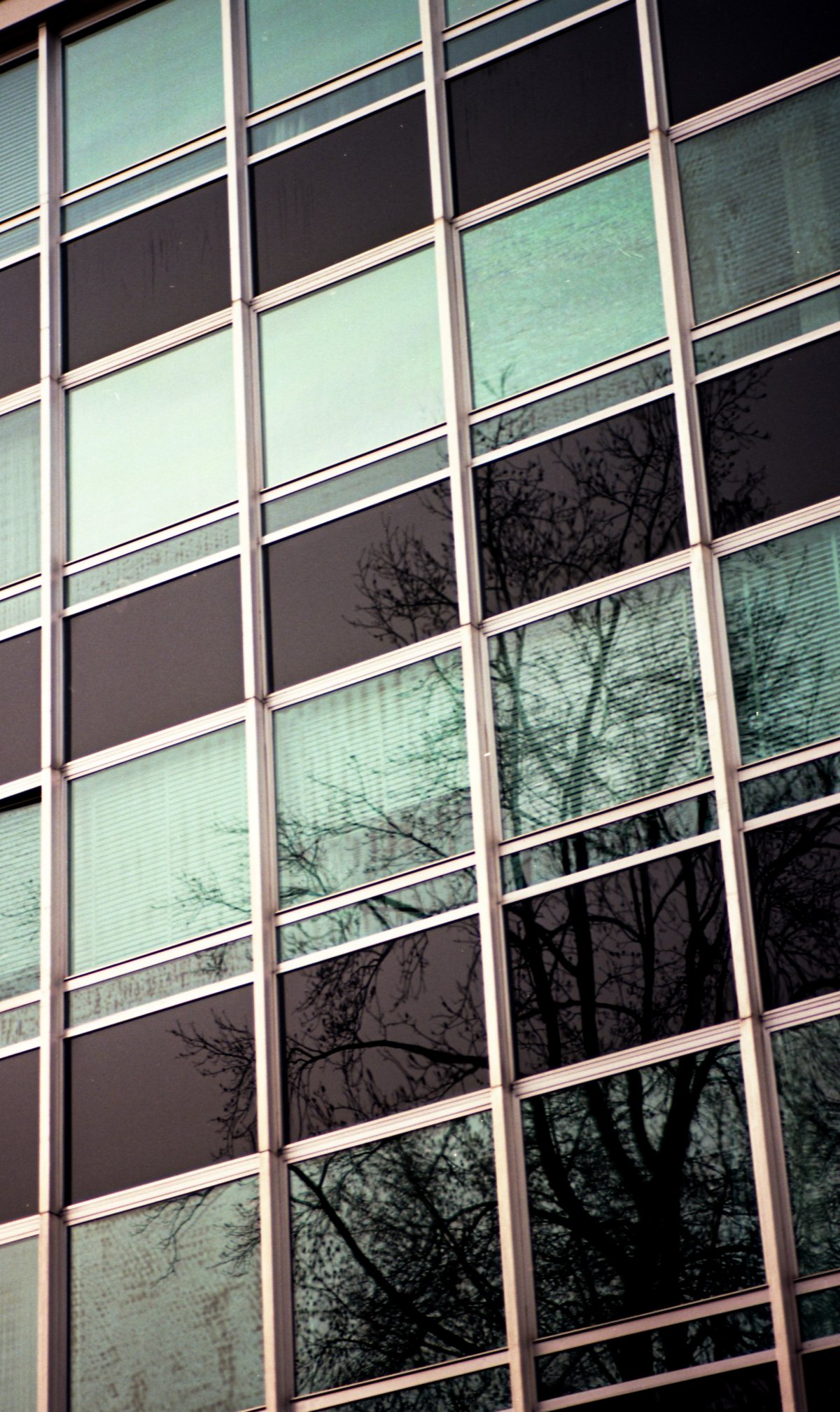 Reflections